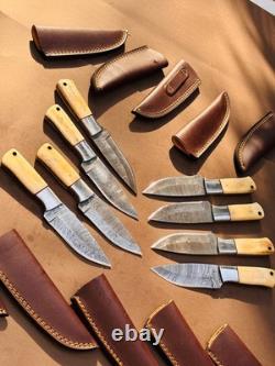 Lot of 10 Damascus steel Skinning knife with leather sheath