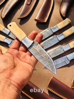 Lot of 10 Damascus steel Skinning knife with leather sheath