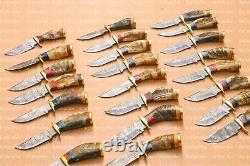 Lot of 20 6 Inch Handmade Damascus Steel Skinner Hunting Knives Ram Horn Withsheat