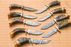 Lot of 20 6 Inch Handmade Damascus Steel Skinner Hunting Knives Ram Horn Withsheat