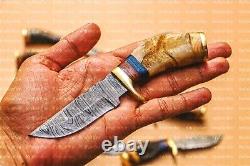 Lot of 20 6 Inch Handmade Damascus Steel Skinner Hunting Knives Ram Horn Withsheat