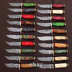 Lot of 20 Custom Handmade Damascus Steel 8 Camping & Hunting Knives From USA