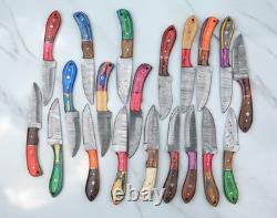 Lot of 20pc 8'' Damascus Steel Skinning/Hunting Knife Wood Handle Mk099