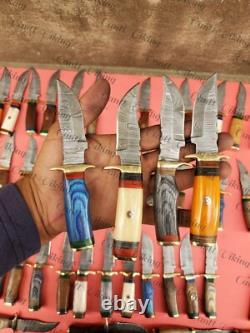 Lot of 30 Custom Handmade Damascus Steel 6 Camping & Hunting Knives From USA