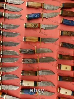 Lots of 60 Custom Handmade Damascus Steel 6 Skinner & Hunting Knives WithSheath