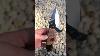 One Of My Favorite Edc Models Custom Handmade Art Bushcraft Usa Wood Resinart Knives