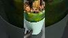 Risen U0026 Pinecone Hybrid Vase Woodturning Woodworking Usa Handmade Ytstudio Ytshort Youtube