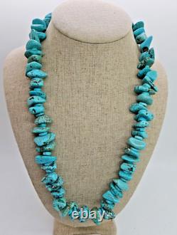 Santo Domingo Kewa Turquoise & Shell Heishi Necklace