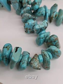 Santo Domingo Kewa Turquoise & Shell Heishi Necklace