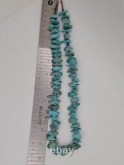 Santo Domingo Kewa Turquoise & Shell Heishi Necklace