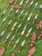 Set Of 20 Custom Handmade Damascus Steel 6 Camping & Hunting Knives? From Usa