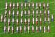 Set Of 20 Custom Handmade Damascus Steel 6 Camping & Hunting Knives Usa Made
