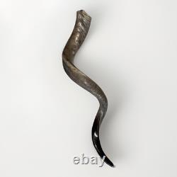 Shofar Yemenite Kudu Horn XXL 40-44 New KOSHER Half Polished Free Shipping USA