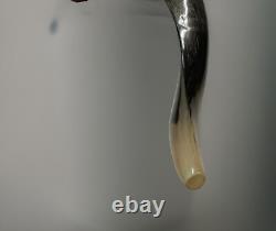 Shofar Yemenite Kudu Horn XXL 40-44 New KOSHER Half Polished Free Shipping USA
