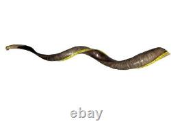 Shofar Yemenite Kudu Horn XXL 40-44 New KOSHER Half Polished Free Shipping USA