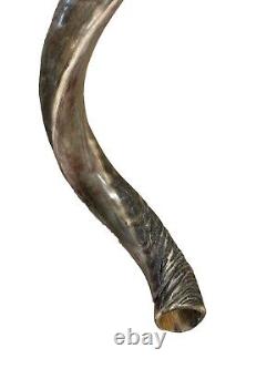 Shofar Yemenite Kudu Horn XXL 47-48 New Natural KOSHER Made Free Shipping USA