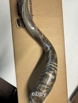 Shofar Yemenite Kudu Horn XXL 47-48 New Natural KOSHER Made Free Shipping USA