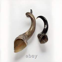 Shofar Yemenite Kudu Horn XXL Set 45 + 24-28 Kosher Made Free Shipping USA