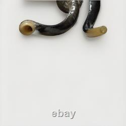 Shofar Yemenite Kudu Horn XXL Set 45 + 24-28 Kosher Made Free Shipping USA