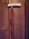 Walking Stick Stag Antler Handle Vine Spiraled Wood Shaft Custom Made In The Usa