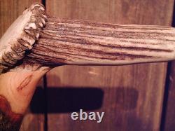 Walking stick cane Antler handle MAPLE wood shaft very stiff CUSTOM MADE IN USA