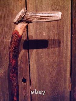 Walking stick cane Antler handle MAPLE wood shaft very stiff CUSTOM MADE IN USA