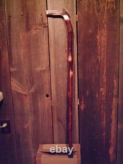 Walking stick cane Antler handle MAPLE wood shaft very stiff CUSTOM MADE IN USA