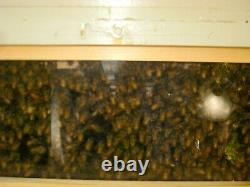 Warre Bee Hive with windows (4 boxes fully assembled) Hand made in the USA