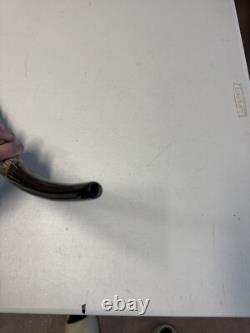 Waterbuck Horn Shofar Yemenite XL 22-26 New KOSHER Made Free Shipping USA