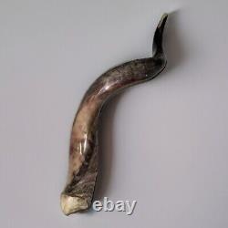 Yemenite Shofar Kudu Horn XL 32-37 New KOSHER Made+Odor Spray Holy Land