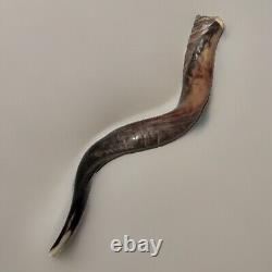 Yemenite Shofar Kudu Horn XL 32-37 New KOSHER Made+Odor Spray Holy Land