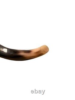 Yemenite Shofar Kudu Horn XL 32-37 New KOSHER Made+Odor Spray Holy Land