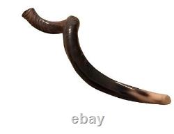 Yemenite Shofar Kudu Horn XL 32-37 New KOSHER Made+Odor Spray Holy Land