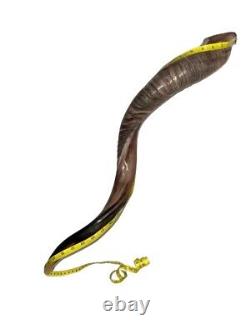 Yemenite Shofar Kudu Horn XL 32-37 New KOSHER Made+Odor Spray Holy Land