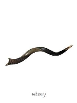 Yemenite Shofar Kudu Horn XL 32-37 New KOSHER Made+Odor Spray Holy Land