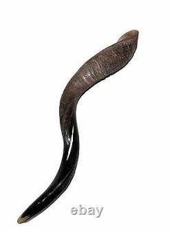 Yemenite Shofar Kudu Horn XL 32-37 New KOSHER Made+Odor Spray Holy Land