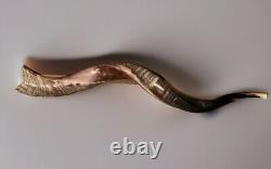 Yemenite Shofar Kudu Horn XL 32-37 New KOSHER Made+Odor Spray Holy Land