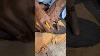 Asmr Fabrication De Cuir Avec Des Outils Usa Cuttingskills Fait Main Handmadeinusa