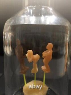 Acrylique transparente coulée sexe en bouteille fabriquée à la main aux États-Unis 3x7 Article unique Bonne collection