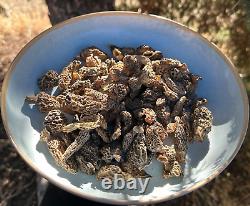 Cèpes Morilles Sauvages Séchés des États-Unis, Récolte Artisanale 2024, 1 lb