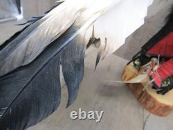 Lagune du Pueblo Eagle Motion Dancer Kachina SIGNÉE Artiste Kathy Lente Gonzales