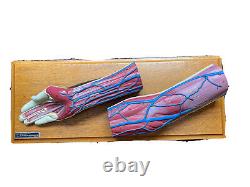 Modèle rare d'avant-bras et de main antique de 1972 des Laboratoires Bobbitt, fabriqué aux États-Unis