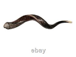 Shofar yéménite en corne de koudou XL 31''- 41'' Neuf KOSHER Fabriqué aux États-Unis Livraison gratuite
