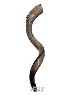 Shofar yéménite en corne de koudou XL 31''- 41'' Neuf KOSHER Fabriqué aux États-Unis Livraison gratuite