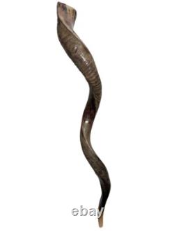Shofar yéménite en corne de kudu XXL 40-44 Nouveau KASHER Mi-lustré Livraison gratuite USA
