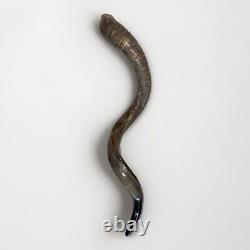 Shofar yéménite en corne de kudu XXL 40-44 Nouveau KASHER Mi-lustré Livraison gratuite USA