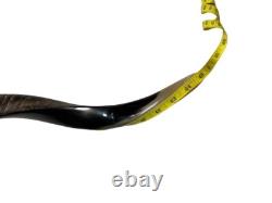 Shofar yéménite en corne de kudu XXL 40-44 Nouveau KASHER Mi-lustré Livraison gratuite USA
