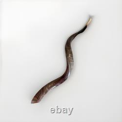 Shofar yéménite en corne de kudu XXL 40-44 Nouveau KASHER Mi-lustré Livraison gratuite USA